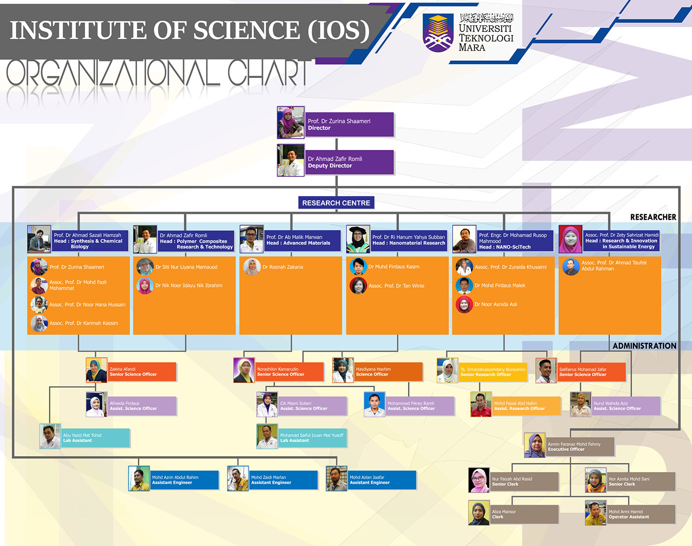 Organization Chart Setia Engineering - vrogue.co